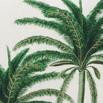 Palmy Bahama