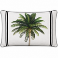 Bahama Palm