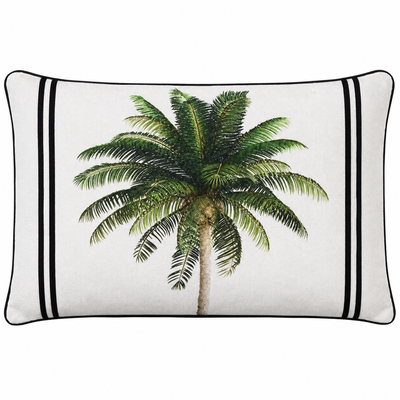 Bahama Palm