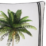 Bahama Palm