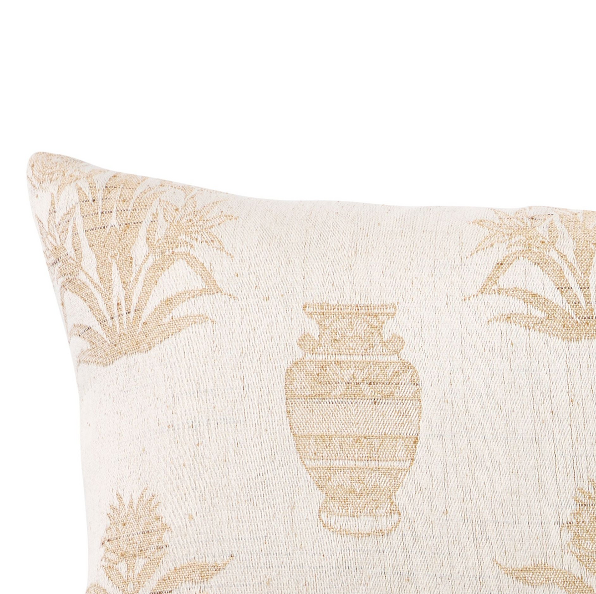 Papyrus Palm
