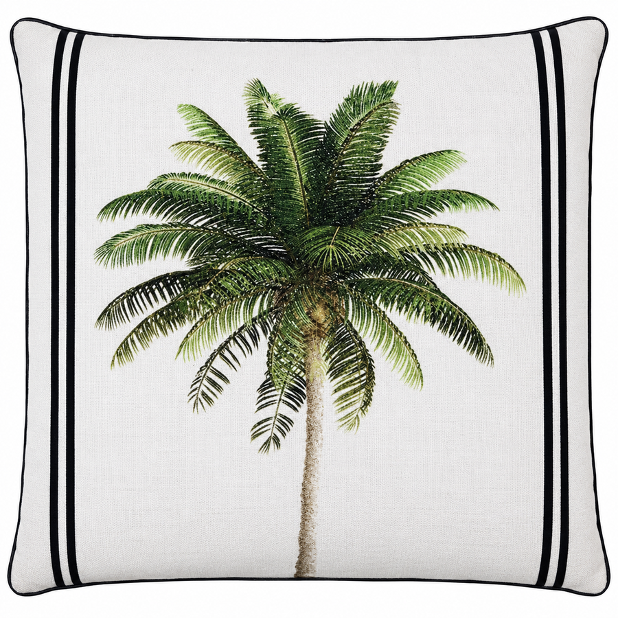 Bahama Palm