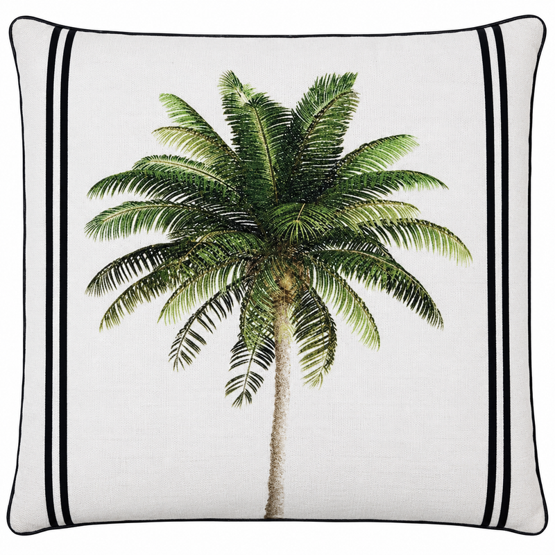 Bahama Palm