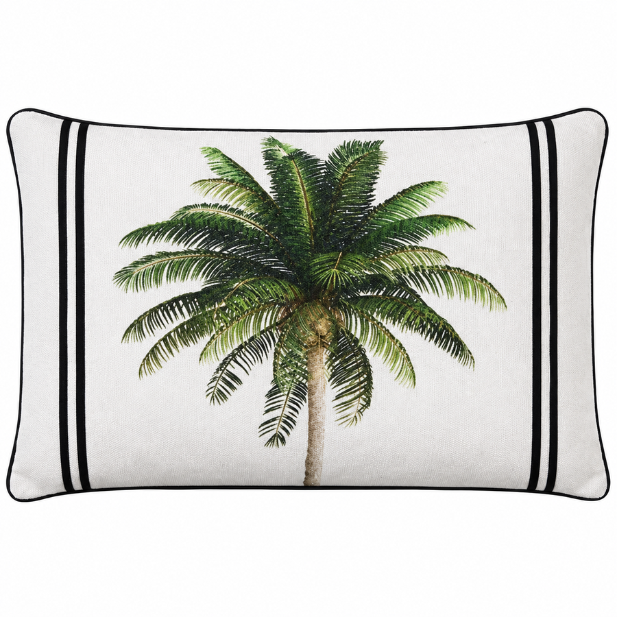 Bahama Palm