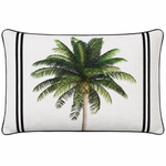 Bahama Palm